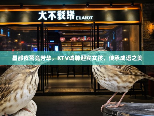 昌都夜莺竞芳华，KTV诚聘迎宾女孩，传承成语之美