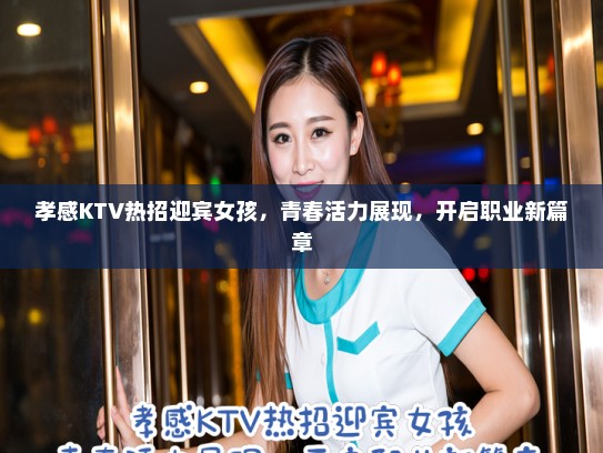 孝感KTV热招迎宾女孩，青春活力展现，开启职业新篇章