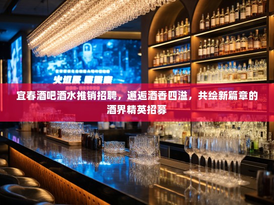 宜春酒吧酒水推销招聘，邂逅酒香四溢，共绘新篇章的酒界精英招募
