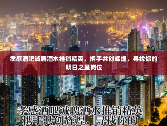 孝感酒吧诚聘酒水推销精英，携手共创辉煌，寻找你的明日之星岗位