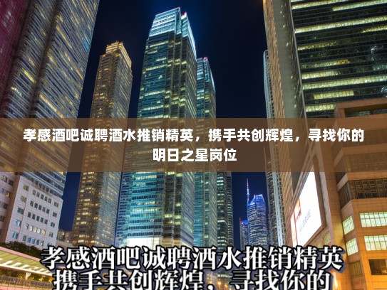 孝感酒吧诚聘酒水推销精英，携手共创辉煌，寻找你的明日之星岗位