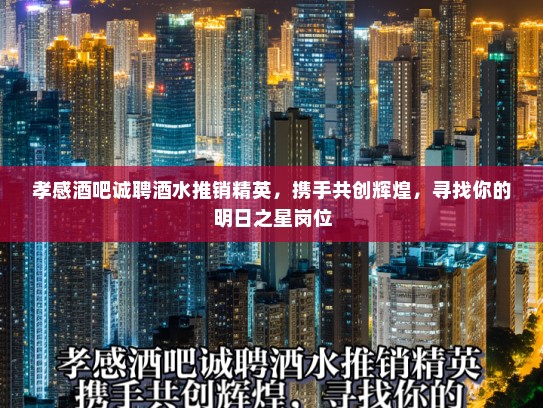 孝感酒吧诚聘酒水推销精英，携手共创辉煌，寻找你的明日之星岗位