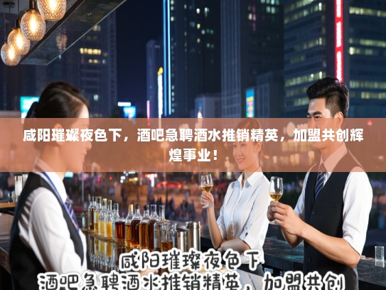 咸阳璀璨夜色下，酒吧急聘酒水推销精英，加盟共创辉煌事业！