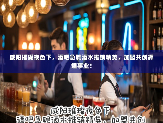 咸阳璀璨夜色下，酒吧急聘酒水推销精英，加盟共创辉煌事业！
