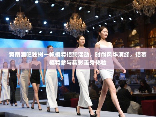 黄南酒吧独树一帜模特招聘活动，时尚风华演绎，招募模特参与精彩走秀体验