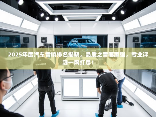 2025年度汽车音响排名揭晓，品质之音哪家强，专业评测一网打尽！