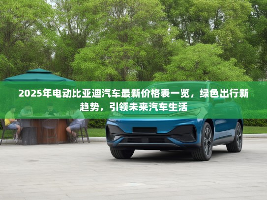 2025年电动比亚迪汽车最新价格表一览，绿色出行新趋势，引领未来汽车生活