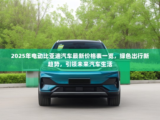 2025年电动比亚迪汽车最新价格表一览，绿色出行新趋势，引领未来汽车生活