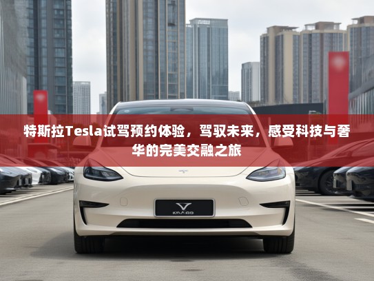 特斯拉Tesla试驾预约体验，驾驭未来，感受科技与奢华的完美交融之旅
