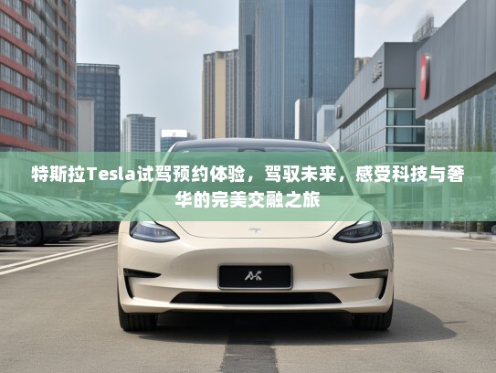 特斯拉Tesla试驾预约体验，驾驭未来，感受科技与奢华的完美交融之旅