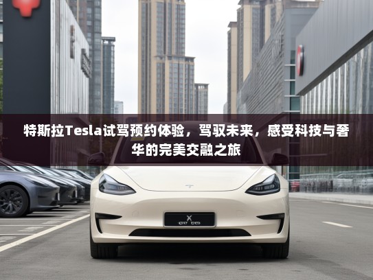 特斯拉Tesla试驾预约体验，驾驭未来，感受科技与奢华的完美交融之旅