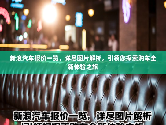 新浪汽车报价一览，详尽图片解析，引领您探索购车全新体验之旅