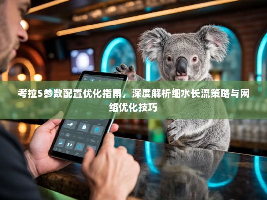 考拉S参数配置优化指南,深度解析细水长流策略与网络优化技巧 考拉S参数配置优化指南,深度解析细水长流策略与网络优化技巧