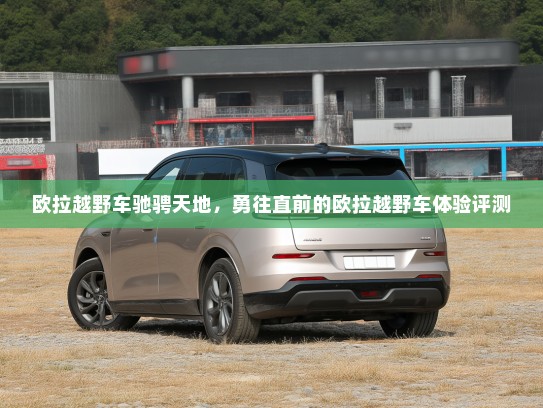 欧拉越野车驰骋天地，勇往直前的欧拉越野车体验评测