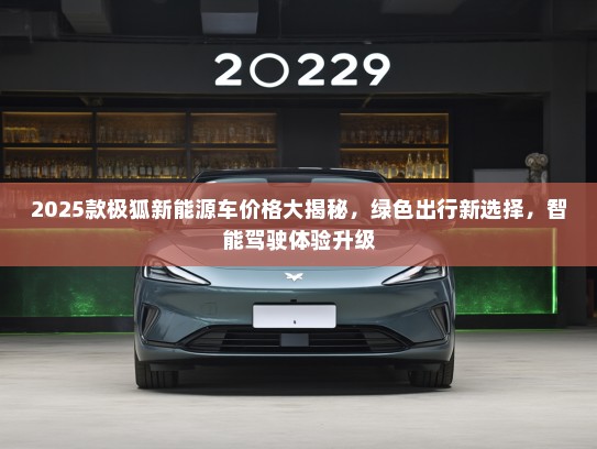 2025款极狐新能源车价格大揭秘，绿色出行新选择，智能驾驶体验升级