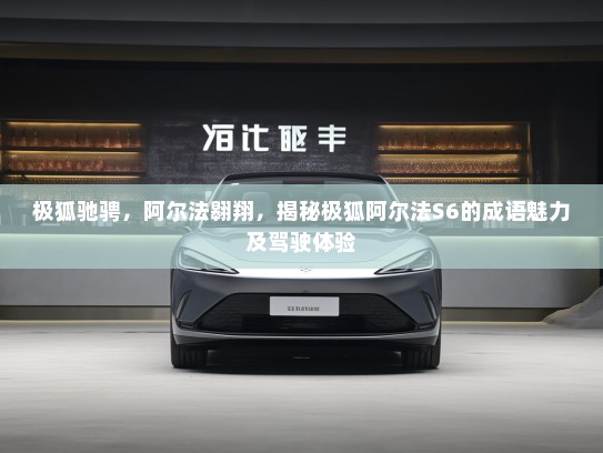 极狐驰骋，阿尔法翱翔，揭秘极狐阿尔法S6的成语魅力及驾驶体验