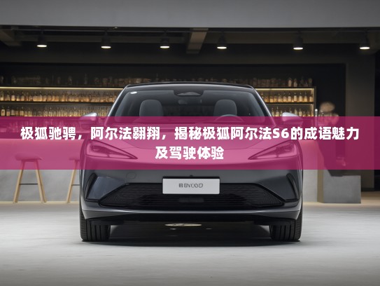 极狐驰骋，阿尔法翱翔，揭秘极狐阿尔法S6的成语魅力及驾驶体验