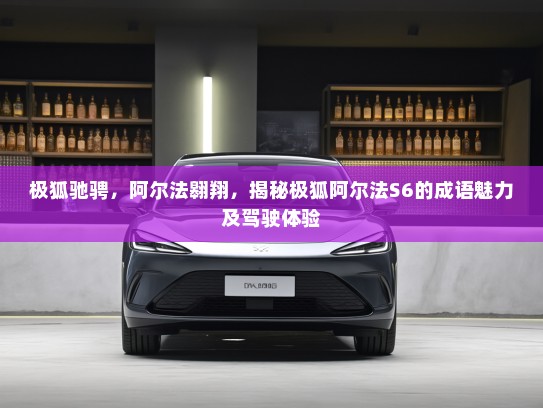 极狐驰骋，阿尔法翱翔，揭秘极狐阿尔法S6的成语魅力及驾驶体验
