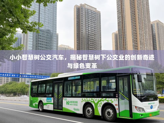 小小智慧树公交汽车，揭秘智慧树下公交业的创新奇迹与绿色变革