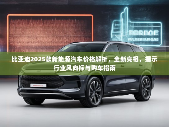 比亚迪2025款新能源汽车价格解析，全新亮相，揭示行业风向标与购车指南