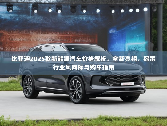 比亚迪2025款新能源汽车价格解析，全新亮相，揭示行业风向标与购车指南