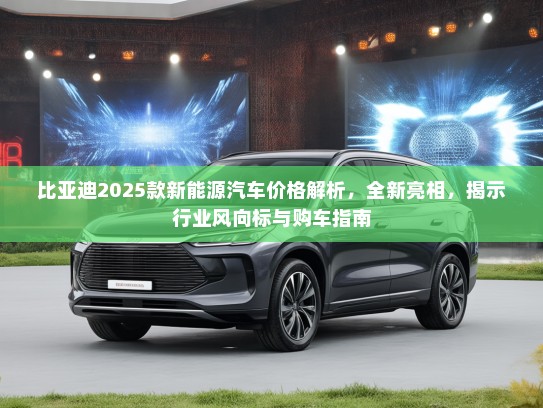 比亚迪2025款新能源汽车价格解析，全新亮相，揭示行业风向标与购车指南