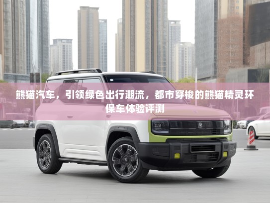 熊猫汽车，引领绿色出行潮流，都市穿梭的熊猫精灵环保车体验评测