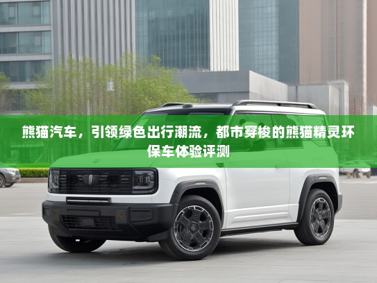 熊猫汽车，引领绿色出行潮流，都市穿梭的熊猫精灵环保车体验评测