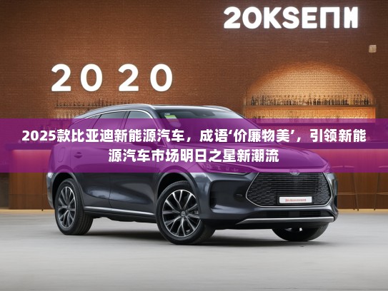 2025款比亚迪新能源汽车，成语‘价廉物美’，引领新能源汽车市场明日之星新潮流