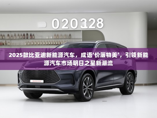 2025款比亚迪新能源汽车，成语‘价廉物美’，引领新能源汽车市场明日之星新潮流