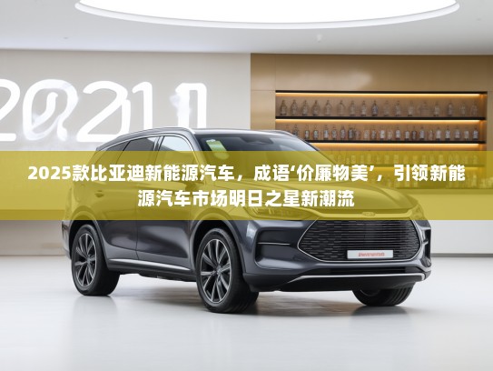 2025款比亚迪新能源汽车，成语‘价廉物美’，引领新能源汽车市场明日之星新潮流
