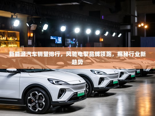新能源汽车销量排行，风驰电掣品牌领跑，揭秘行业新趋势