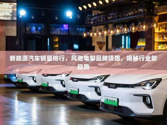 新能源汽车销量排行，风驰电掣品牌领跑，揭秘行业新趋势