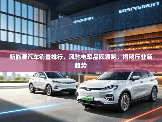 新能源汽车销量排行，风驰电掣品牌领跑，揭秘行业新趋势