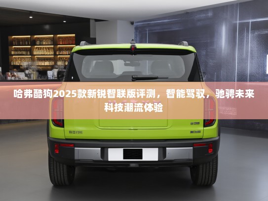 哈弗酷狗2025款新锐智联版评测，智能驾驭，驰骋未来科技潮流体验