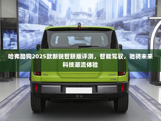 哈弗酷狗2025款新锐智联版评测，智能驾驭，驰骋未来科技潮流体验