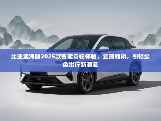比亚迪海鸥2025款智能驾驶体验，云端翱翔，引领绿色出行新潮流