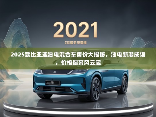 2025款比亚迪油电混合车售价大揭秘，油电新潮成语，价格揭幕风云起