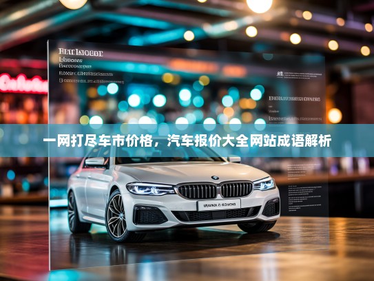 一网打尽车市价格，汽车报价大全网站成语解析