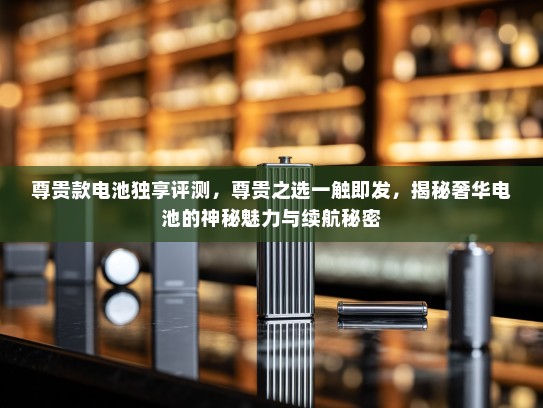 尊贵款电池独享评测，尊贵之选一触即发，揭秘奢华电池的神秘魅力与续航秘密