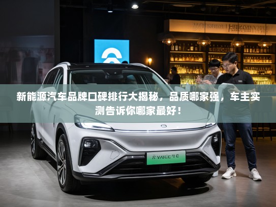 新能源汽车品牌口碑排行大揭秘，品质哪家强，车主实测告诉你哪家最好！