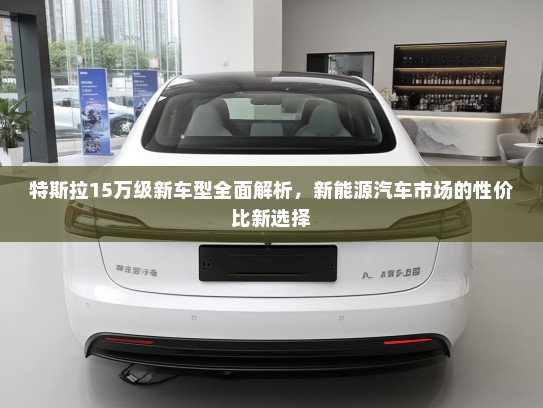 特斯拉15万级新车型全面解析，新能源汽车市场的性价比新选择