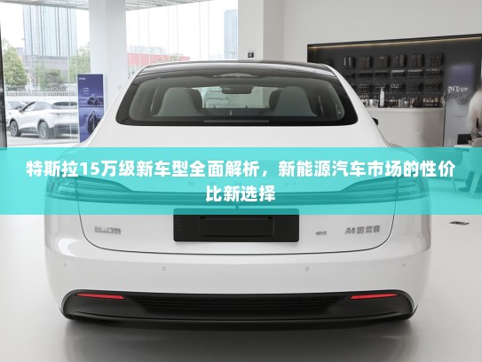 特斯拉15万级新车型全面解析，新能源汽车市场的性价比新选择