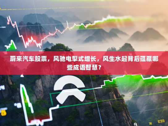 蔚来汽车股票，风驰电掣式增长，风生水起背后蕴藏哪些成语智慧？