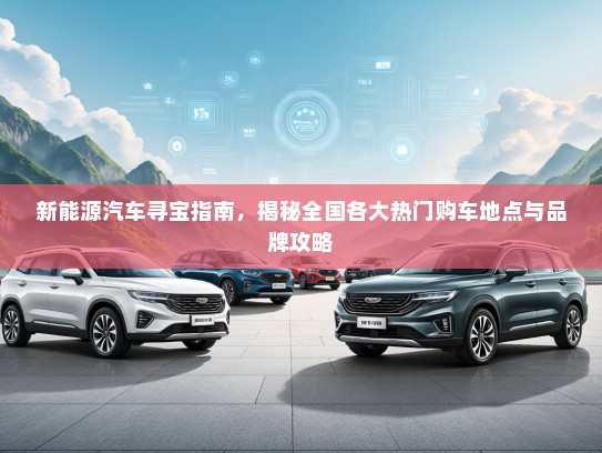 新能源汽车寻宝指南，揭秘全国各大热门购车地点与品牌攻略
