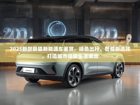 2025新款极狐新能源车鉴赏，绿色出行，智能新选择，打造城市低碳生活潮流