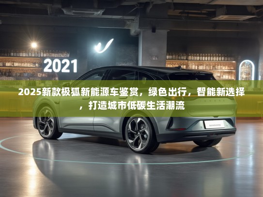 2025新款极狐新能源车鉴赏，绿色出行，智能新选择，打造城市低碳生活潮流