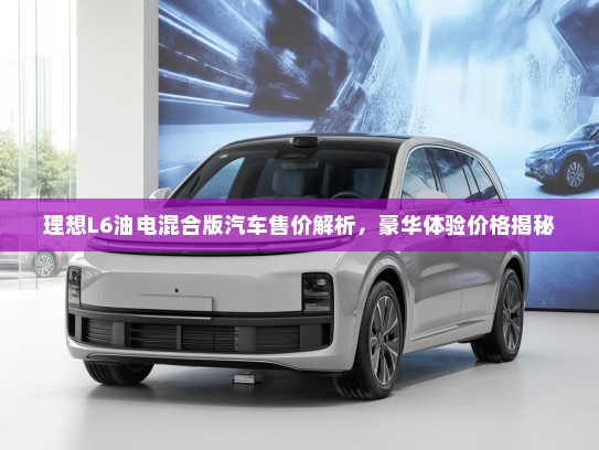 理想L6油电混合版汽车售价解析，豪华体验价格揭秘
