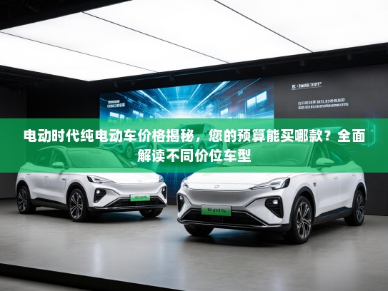 电动时代纯电动车价格揭秘，您的预算能买哪款？全面解读不同价位车型