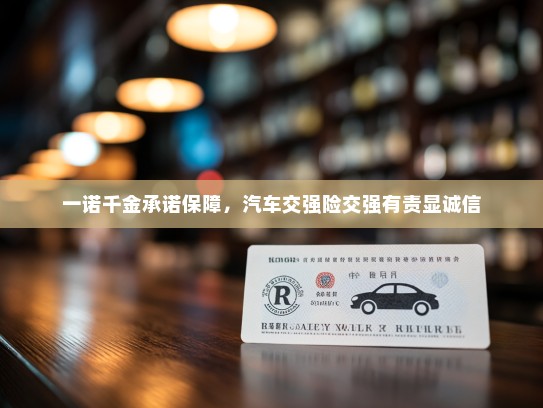 一诺千金承诺保障，汽车交强险交强有责显诚信